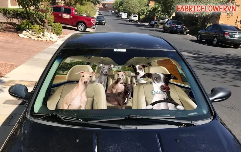 Итальянский автомобильный солнцезащитный козырек подарок для любителей собак