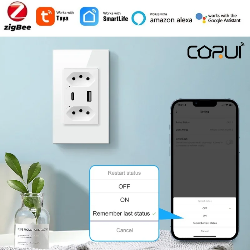 

Tuya ZigBee Brazil Touch Switch Smart Socket TypeC/USB Smart Wall Button Works With Smart Life Alexa Google Home Voice Control