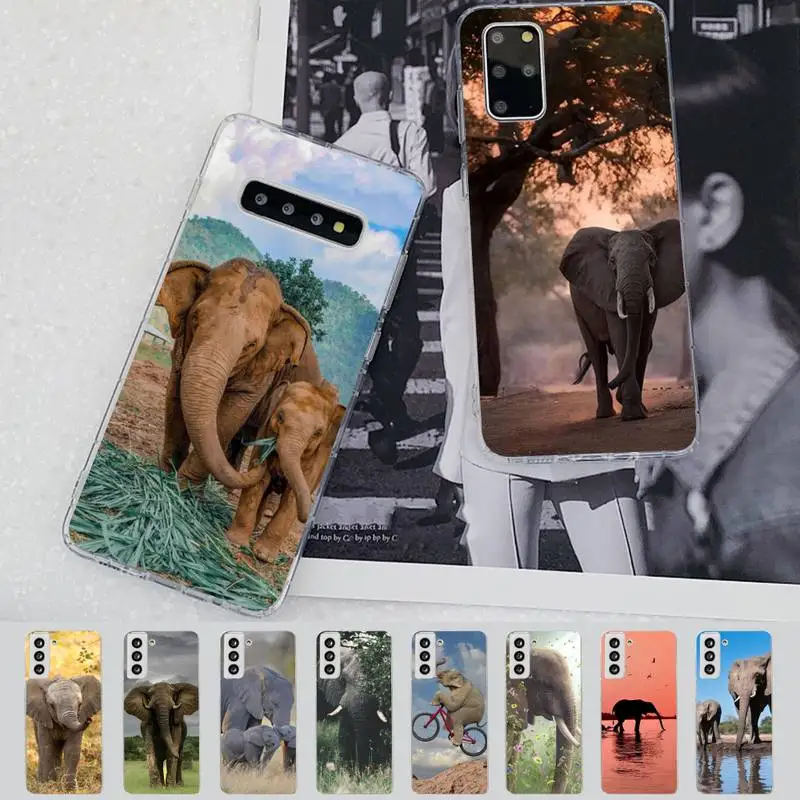 

Animal Elephant Phone Case for Samsung S21 A10 for Redmi Note 7 9 for Huawei P30Pro Honor 8X 10i cover