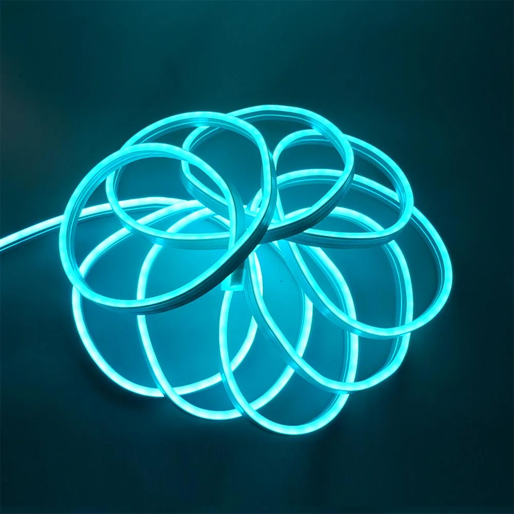 

LED Neon Light DC12V RGB Flexible Cabinet Lights With Bluetooth APP Control Waterproof Tape For Decor backlighting