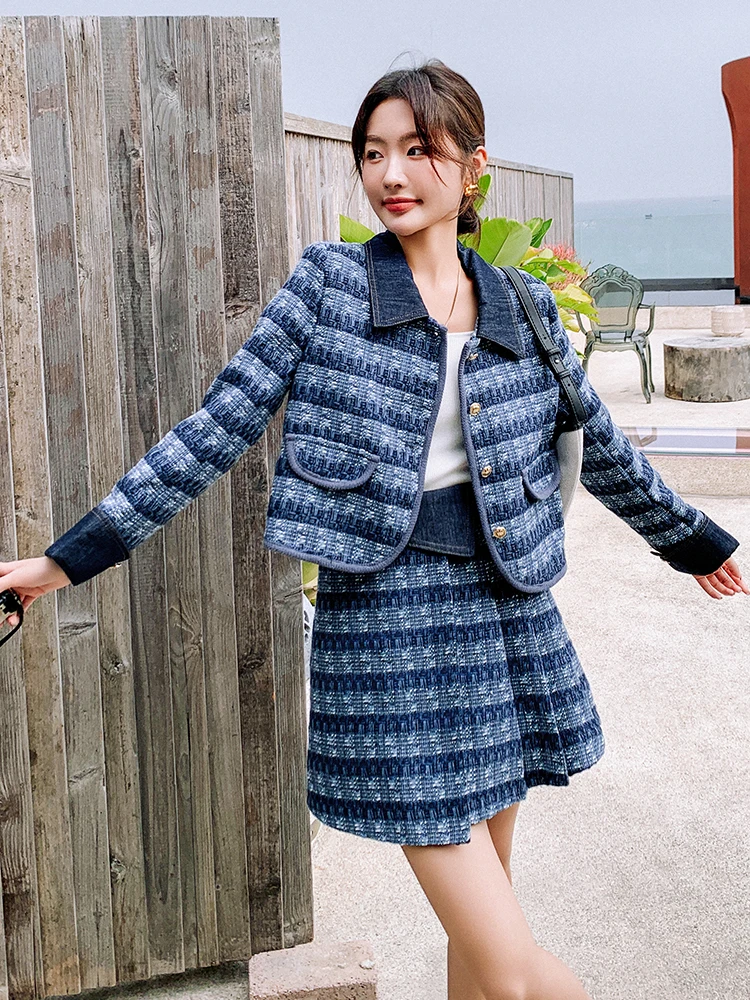 Blue Plaid Graceful Leisure Dress Outfit Women 2024 Autumn New French sle Advanced Sense Skirt Two-piece Set