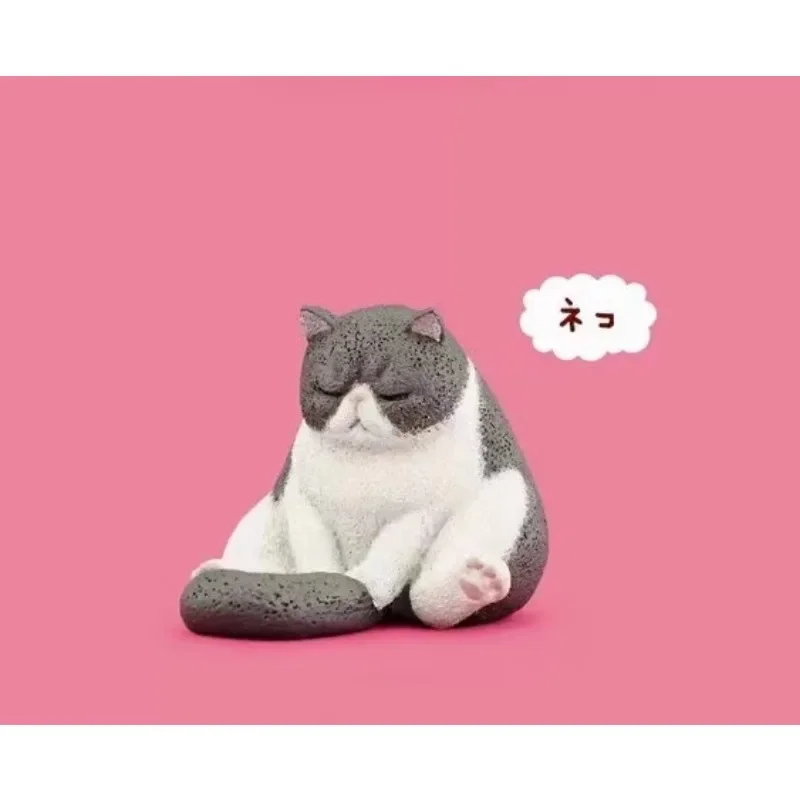 Zoo Series Gashapon Toys Собака Медведь Кошка Слон Ежик Горилла Креативная Модель Украшения