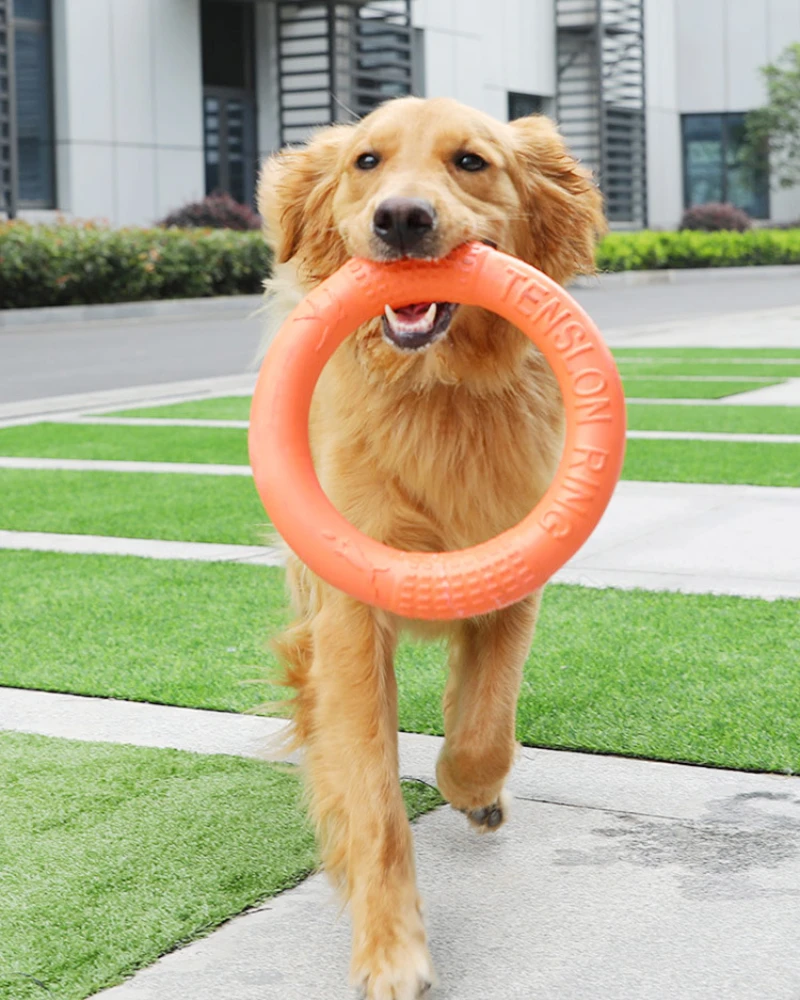

Dog Toys Pet Flying Discs EVA Dog Training Ring Puller Resistant Bite Floating Toy For Small Large Dogs Interactive Training Toy