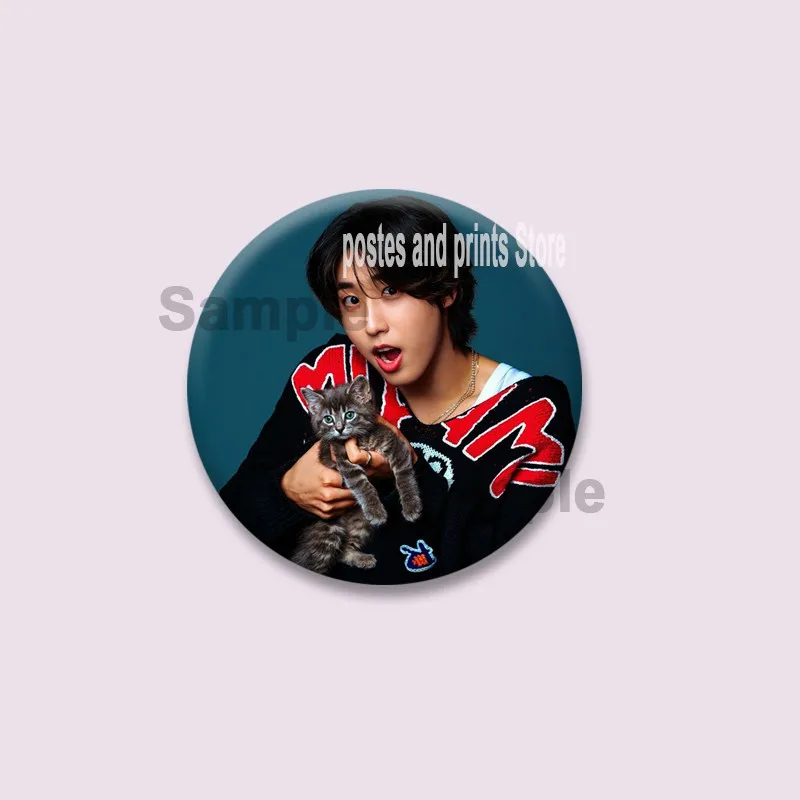 

Булавки Kpop Boys Band Series Felix