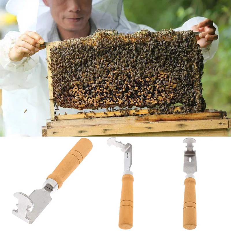 

Apiculture Tools Wood Handle Bee Hive Tool Beekeeping Scraper Take Honey Knife Beekeeper Stainless Steel Wood Handle