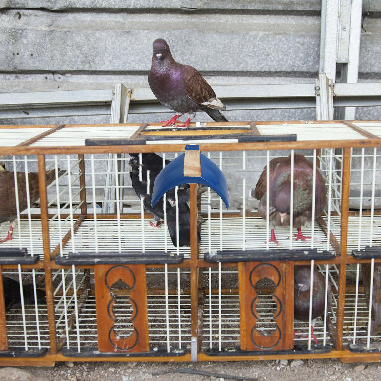 Голубь из цельного дерева пластиковый окунь стоячие рамки стойка для отдыха