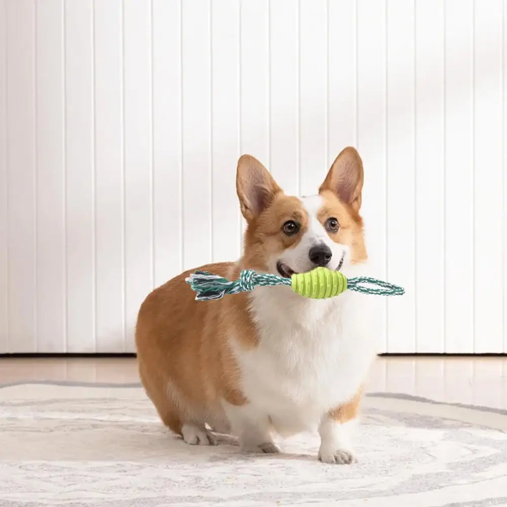 

Dog Toy Bite Resistant Dog Toy Set Cotton Rope Teeth Grinder Tpr Dog Toy for Boredom Relief Rubber Teeth Cleaner Knot Ball Easy