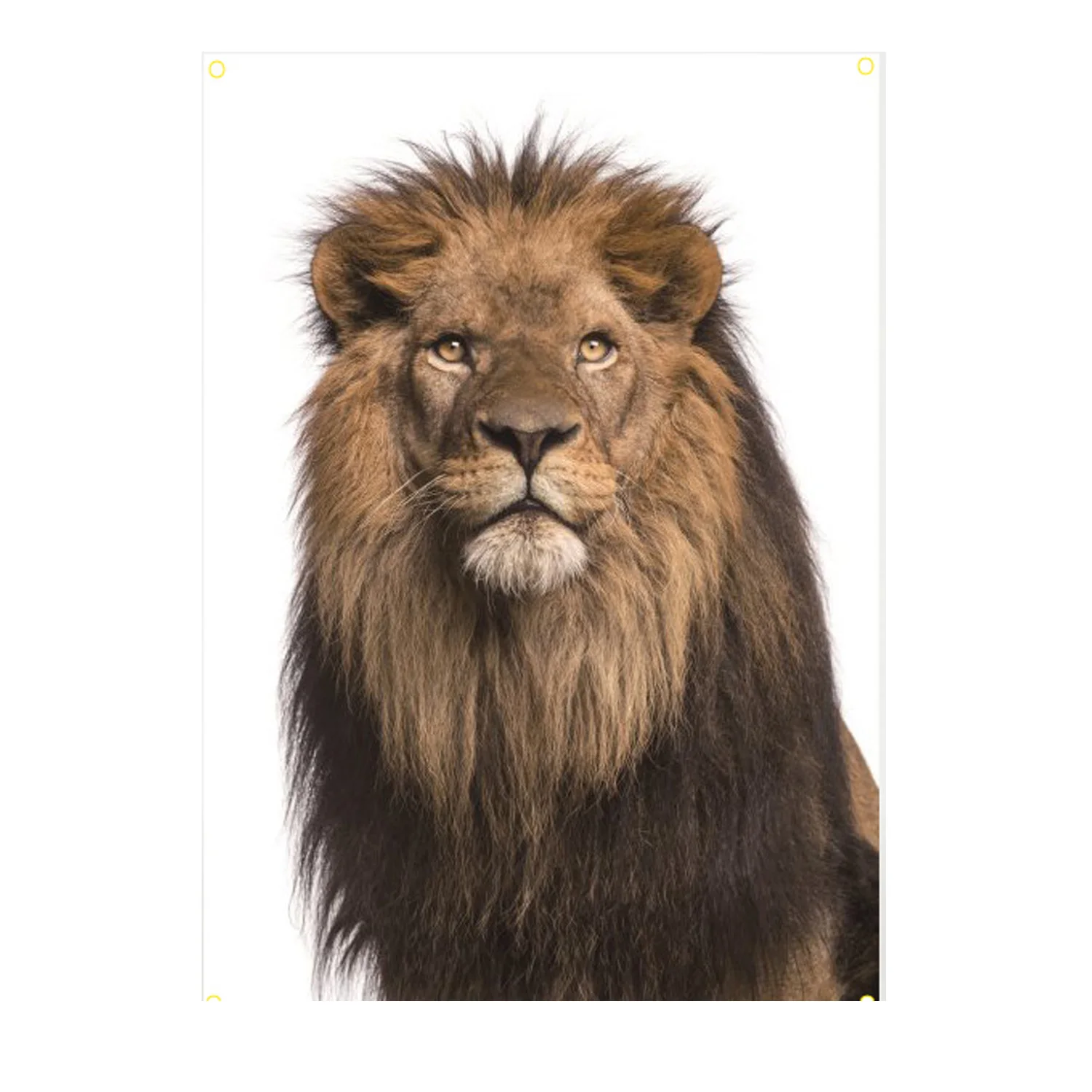 

White background lion head with painting and flag, home interior decoration painting, 600D Oxford cloth 100 * 150cm