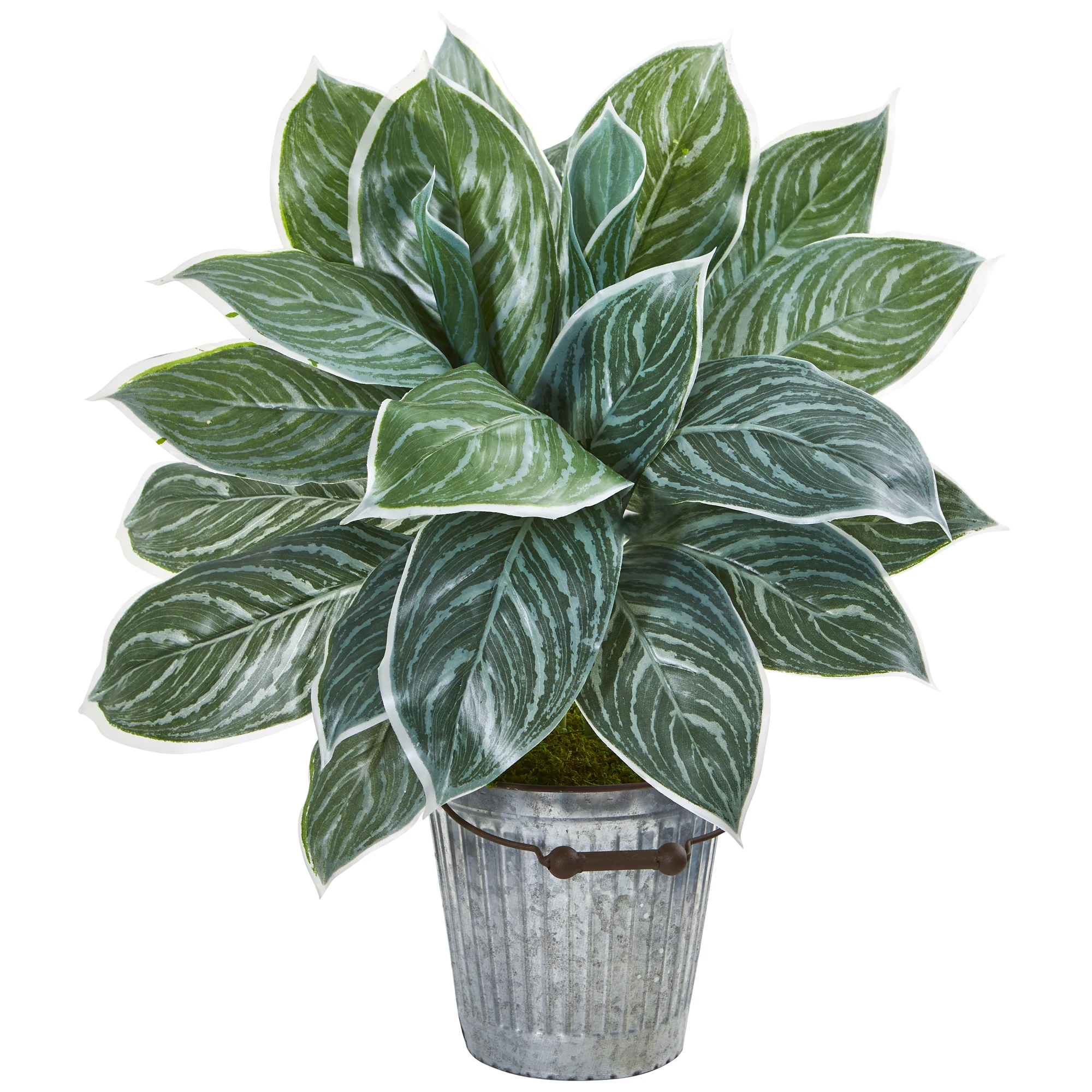 

Free shipping 24” Silver Aglaonema Artificial Plant in Decorative Bucket (Real Touch)