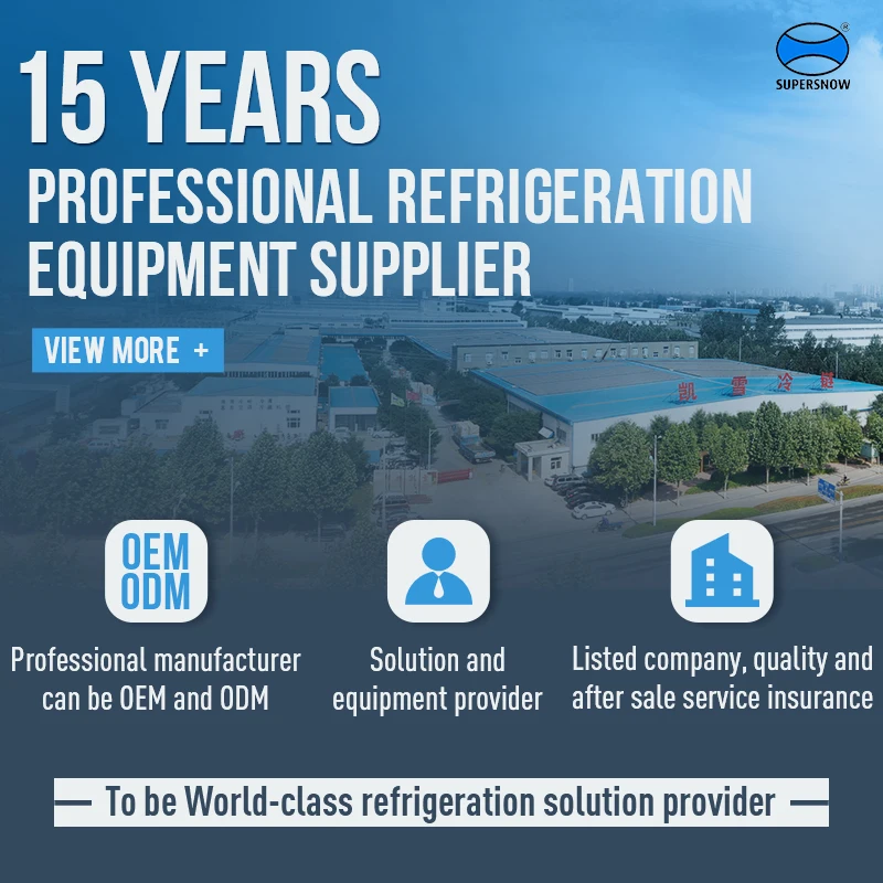 Рисунок 6 - Вертикальный коммерческий холодильник