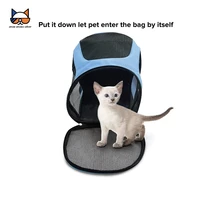 foldable pet carrier breathable backpack for small dogs cats thicker bottom ventilated mesh design for stroll camping outdoor