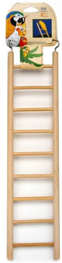 

Natural Wooden Ladder for Birds