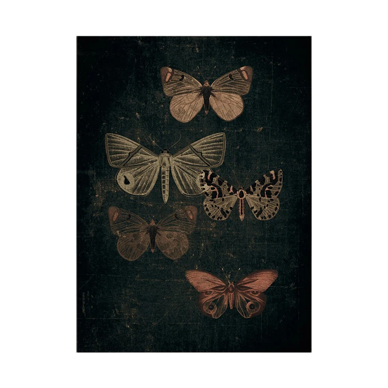 

Винтажный ботанический постер с принтом бабочек wall's tale