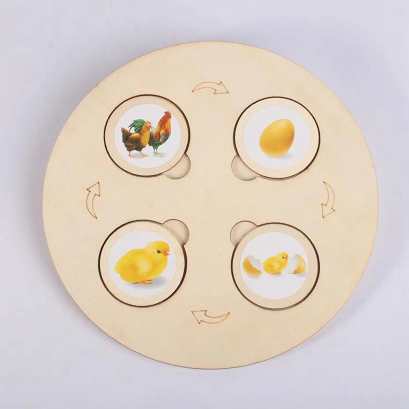 

Cycle Tray Wooden Puzzle for Preschool Student Teaching Prop