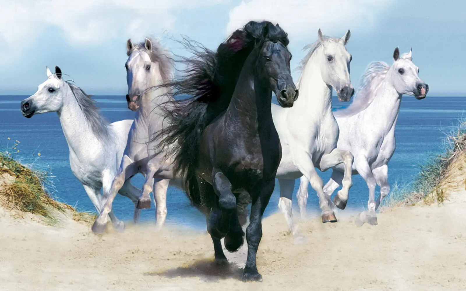 

Dream Horses Stunning Print Art Canvas Poster For Living Room Decor Home Wall Picture