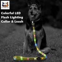 meows dog leash and collar set waterproof reflective nylon rope and led usb rechargeable safety for flashing light night walking