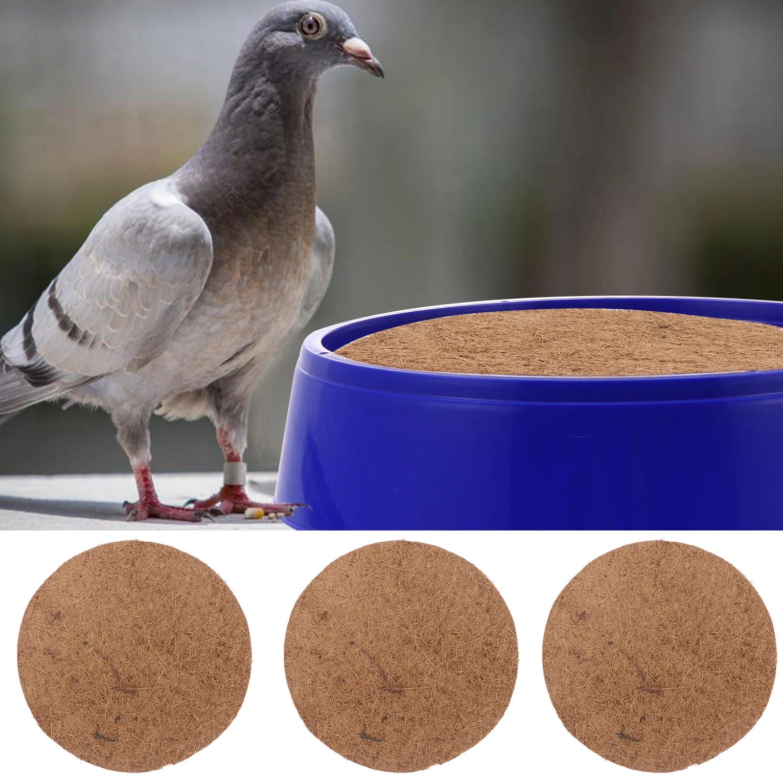 

Pigeon Nesting Mat Bird Pad Pads Egg Breeding Chicken Eggs Palm Box Coop Supplies Pigeons Accessories Bowl Fiber Substrate Mats