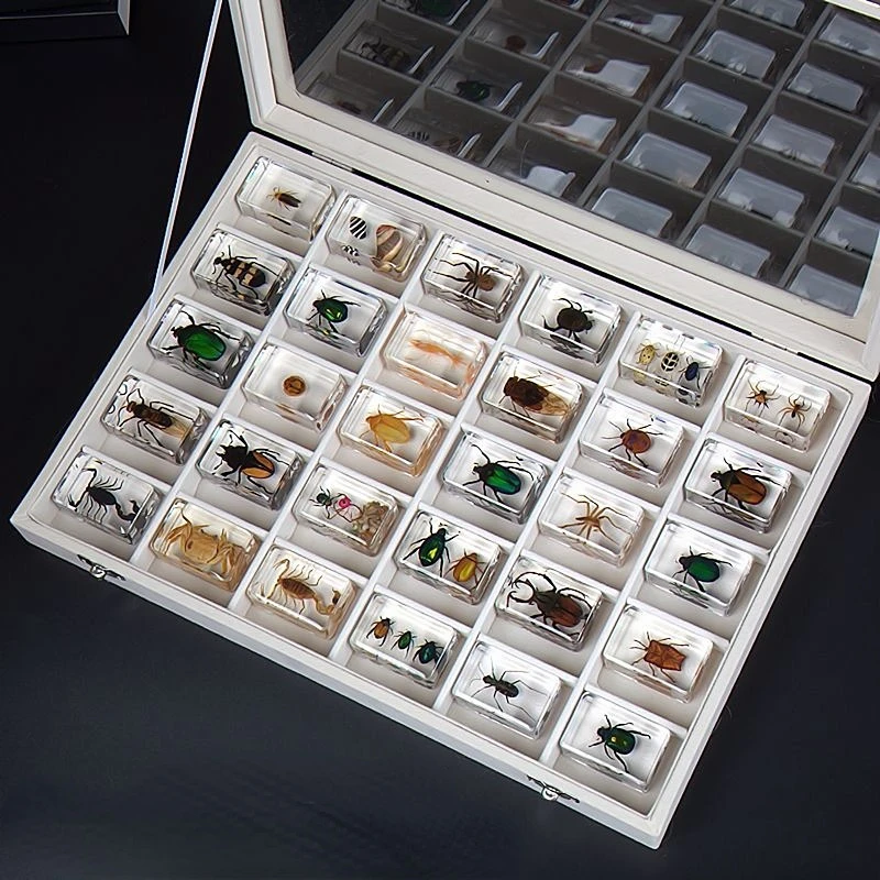 

Искусственный образец, смола, Скараб, Скорпион, краб, жук, паук, обучение, наблюдение за ребенком, украшение для дома, украшение для стола