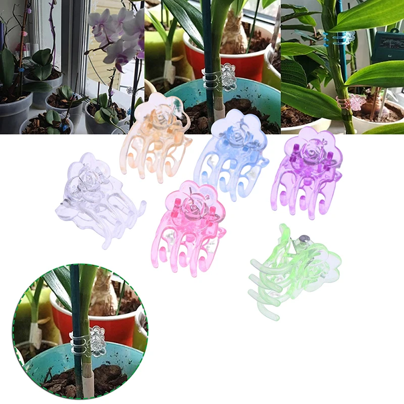 

60Pcs/Pack 6 Colors Phalaenopsis Special Clip Plastic Orchid Clips Garden Support Clips Orchid Plant Vine Support