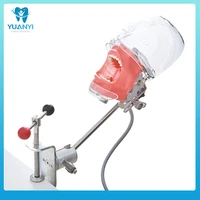 dental simulator head model for training practice school oral physical therapy product oral cavity training dentist teaching