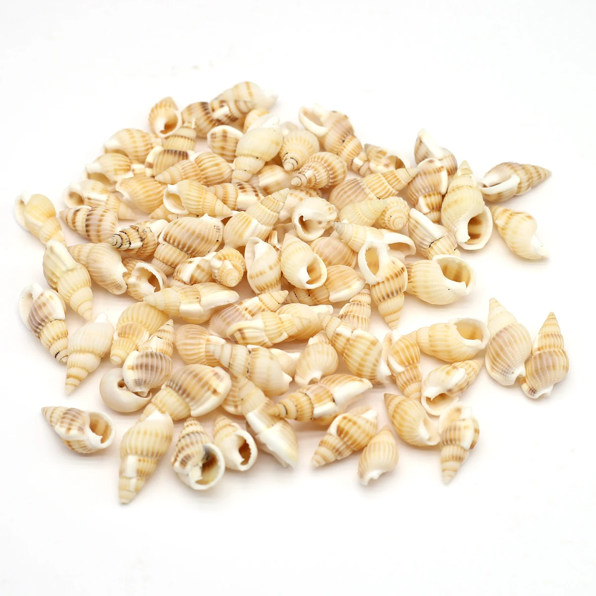 About 120Pc Wholesale Lot Conch Shell Non-porous Natural Yellow Seashell Conches Beads for Jewelry Making DIY Accessories Crafts