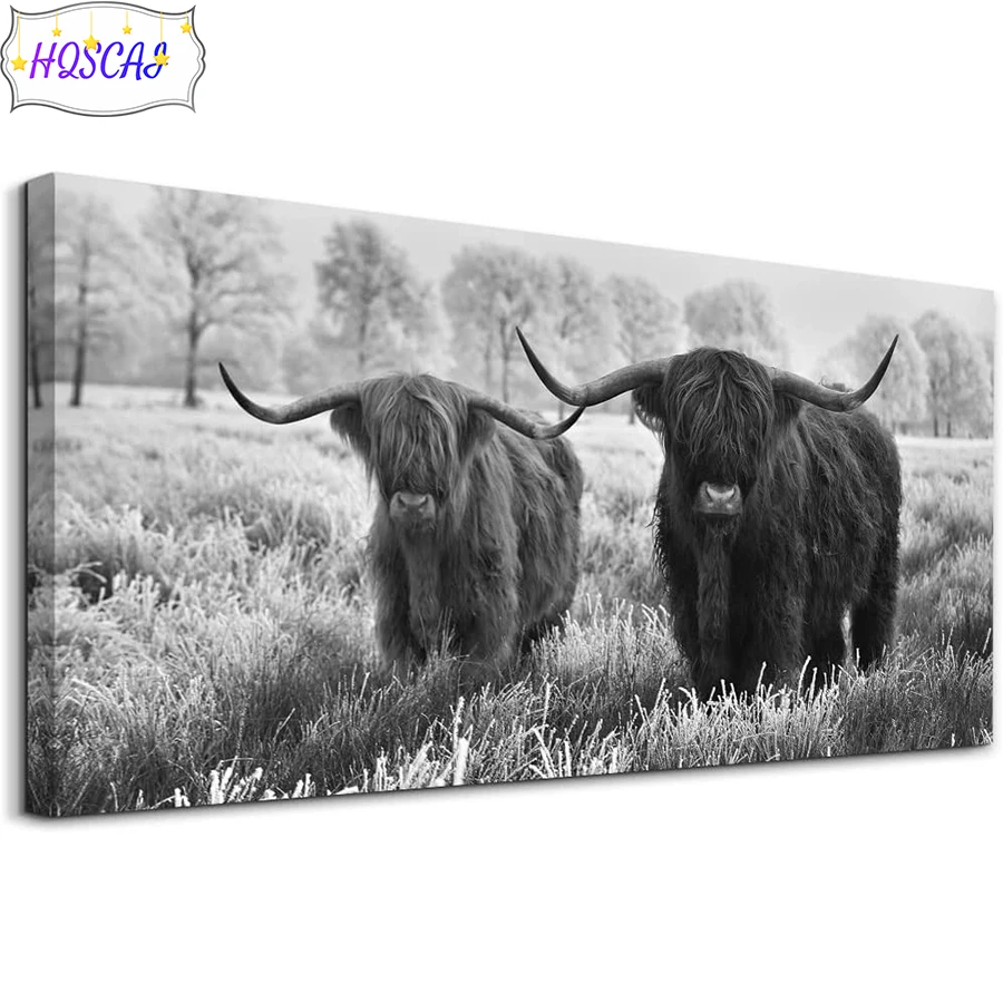 3D Diy Black and white animal art, Dutch highland cattle Diamond Painting Diamond Embroidered Picture Mosaic Home Decoration