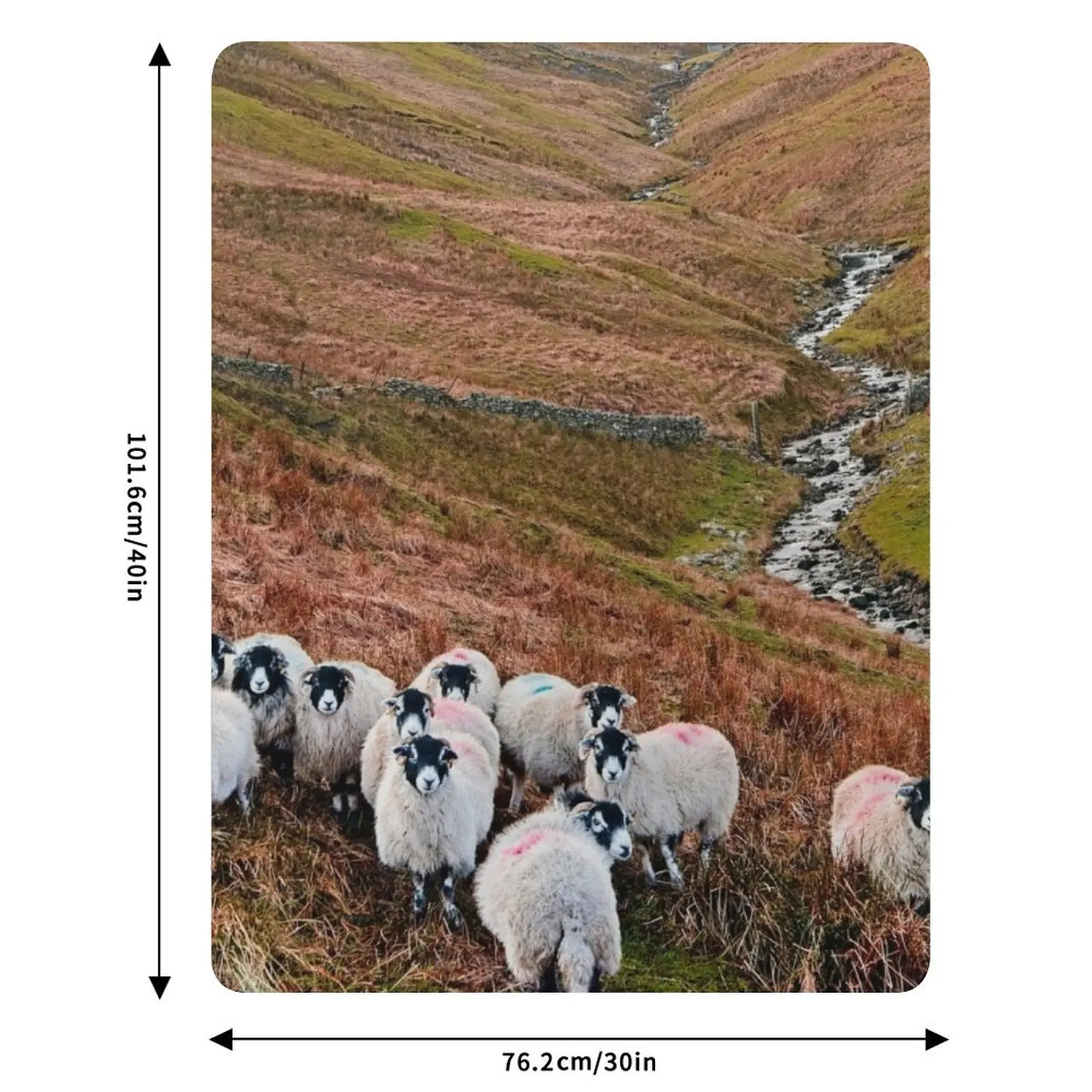 Плед Swaledale Sheep in Weardale, устойчивый к выцветанию, прочный плед (art.: 3920daa683050) - 3920daa683050
