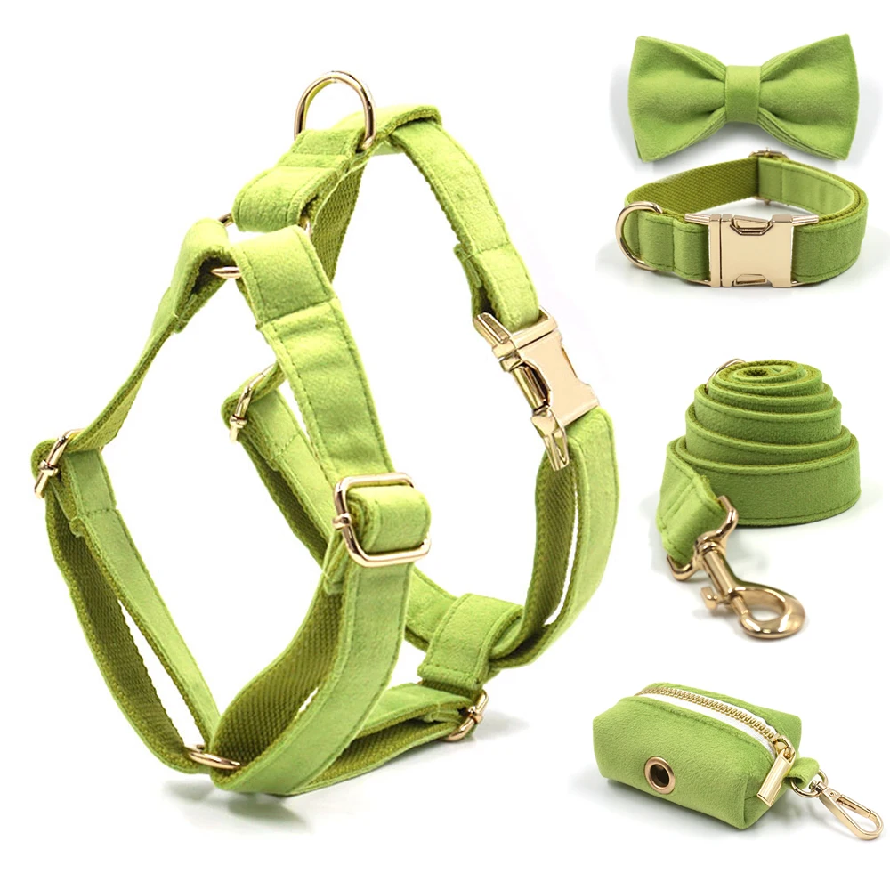 Fruit Green Velvet Dog Harness Personalized ID Luxury Designer Pet Collar with Gold Metal Buckles Medium Large Dog Traction Kit