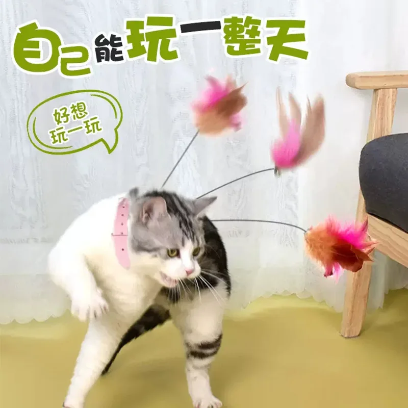 Cat collar, feather, sound making bell, self hi cat puzzle tool, cat toy, cat teaser stick
