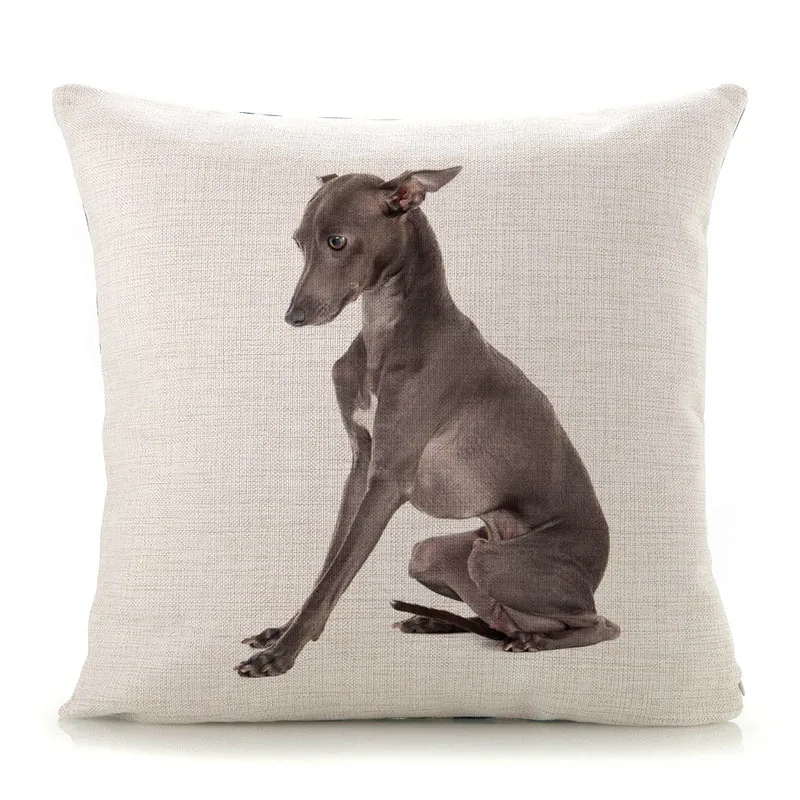 Наволочка YOUNMLEY с принтом Greyhound 45x45 см