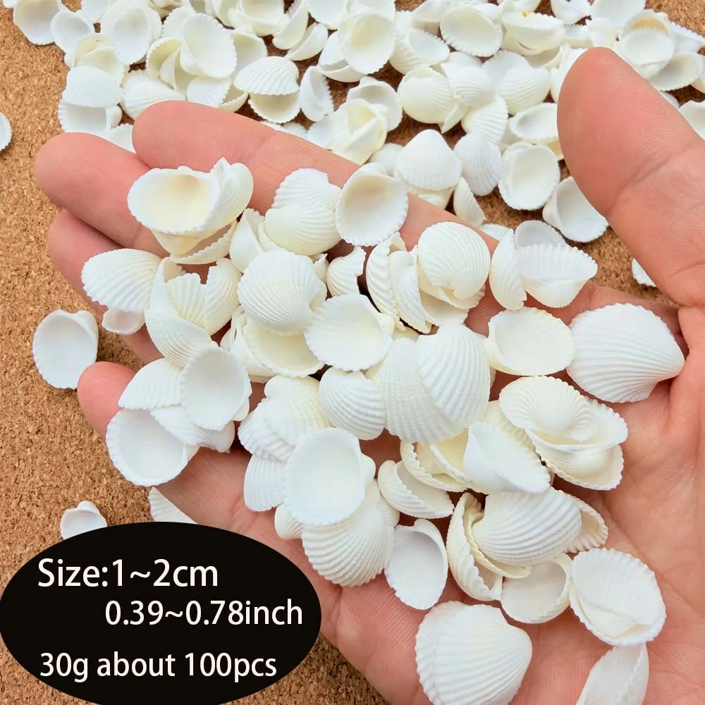 

200 шт. белых ракушек для рукоделия