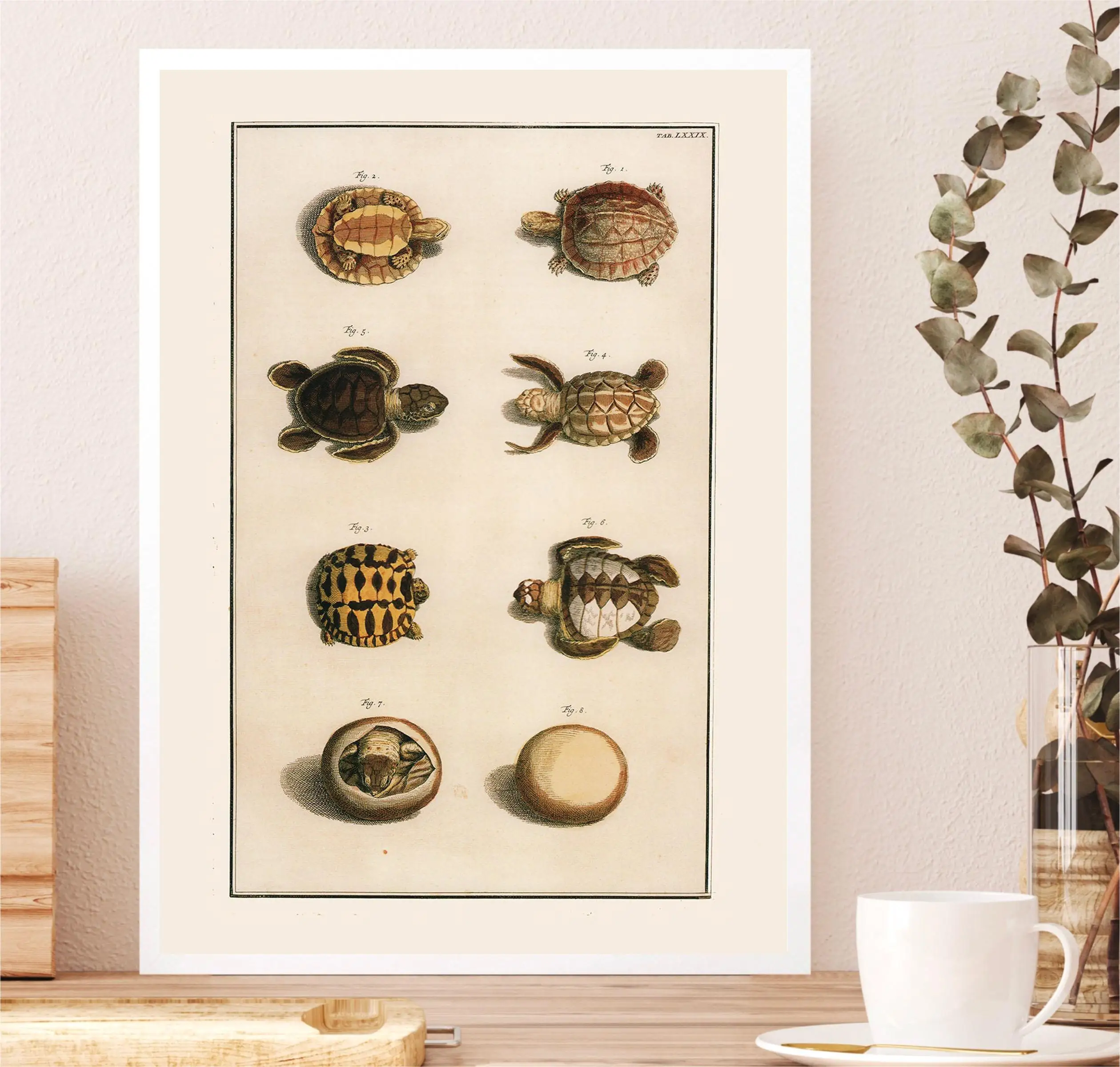 Картина на холсте с изображением морских животных размеры в ассортименте