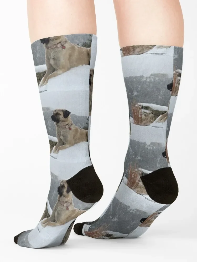 Носки Anatolian для защиты овчарки подарок велосипедные мужские носки до щиколотки