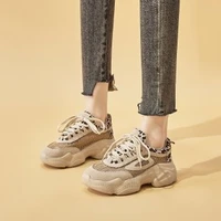 spring and summer hot selling womens sneakers vulcanized mesh breathable fashion leopard print heightening thick dad shoes