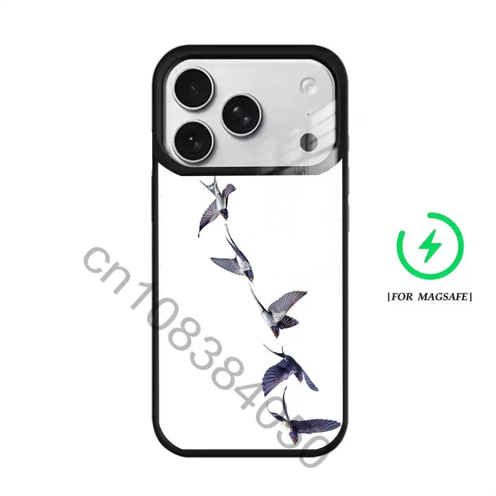 Фото Чехол Pajarito для iPhone 17, 16, 15, 14, 13, 12, 11, Pro, Max, Plus, Mini, SE4, E, совместимый с MagSafe Wireless №3