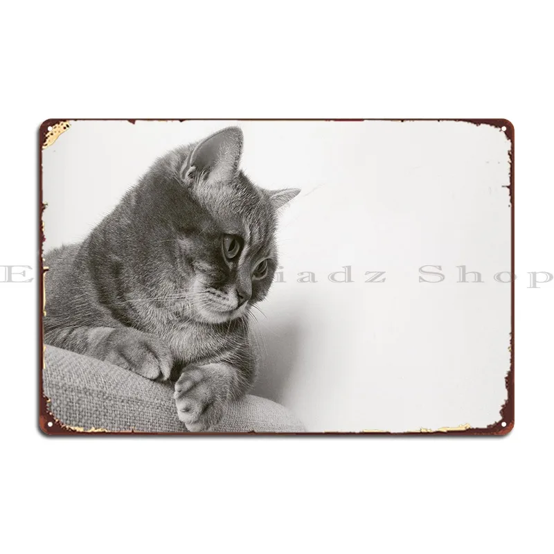 

Стул для кота металлический знак ретро кухня классический декор стен индивидуальный жестяной знак постер