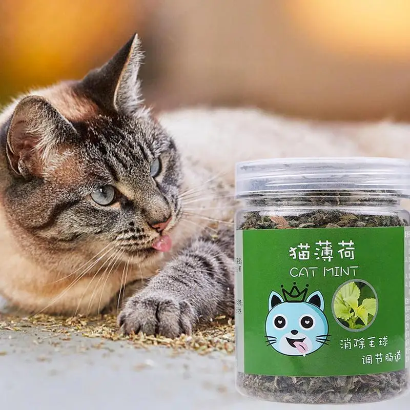 

20g Organic Catnip 100% Natural High Quality Catnip Premium Sprinkled Mint Flavor Cattle Grass For Cat Kitten Healthy Pet Supply