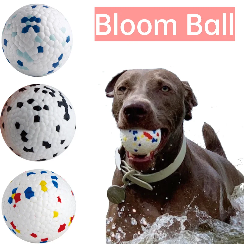 Pet Dog Toys Dog Ball Dog Bouncy Solid Ball Resistance To Dog Chew Toys Interactive Toys Cleaning Tooth Outdoor Throwing