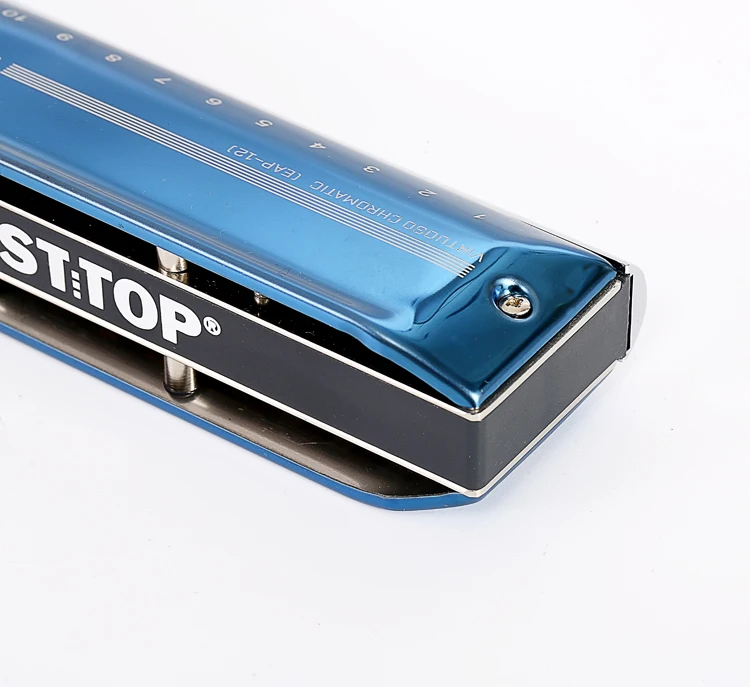 EAP-12 новая распродажа профессиональные музыкальные инструменты с 12 отверстиями