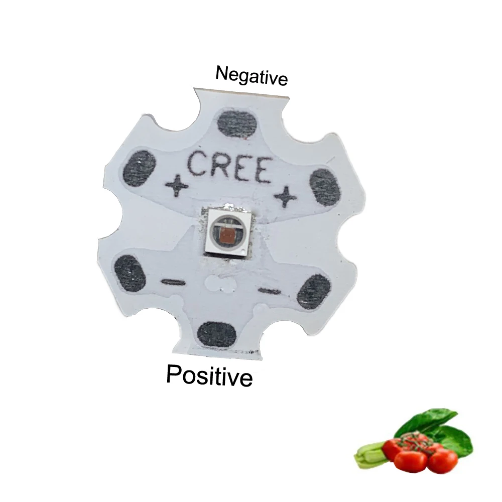 For Plant Vegetable Fruit Growing Seeding