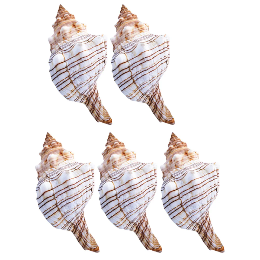 

5pcs Aquarium Natural Conch Ornaments Tank Conch Decorative Props Aquarium Adornments