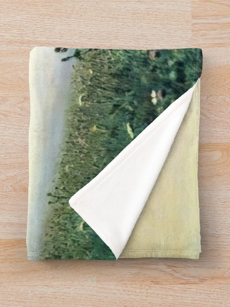 Arkhyp Kuindzhi - Dnieper in the morning Плед Детские термоодеяла