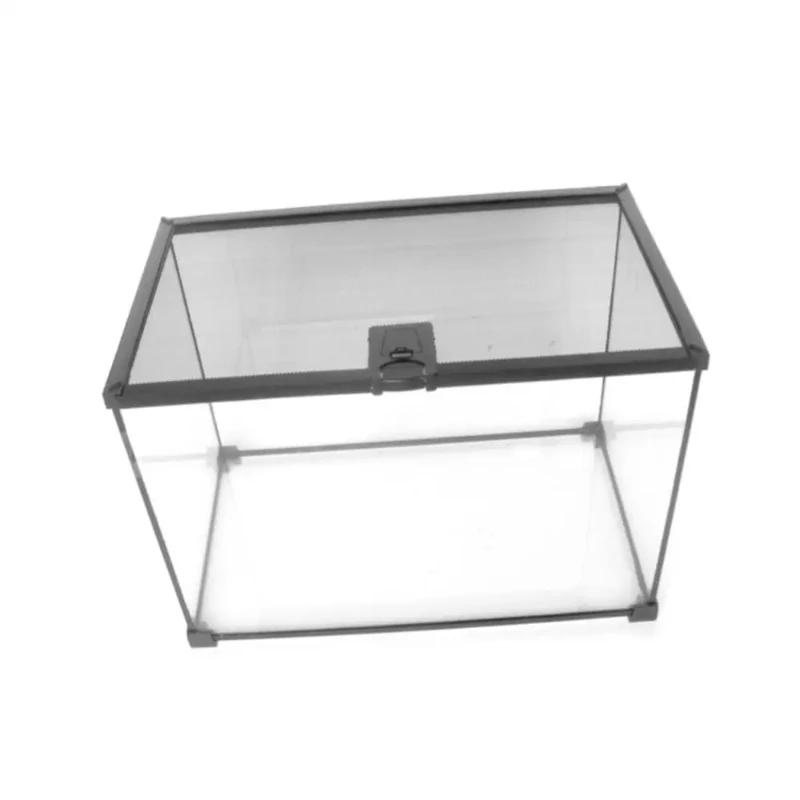 Высококачественная маленькая квадратная фотография бокс для тарана муравьиной