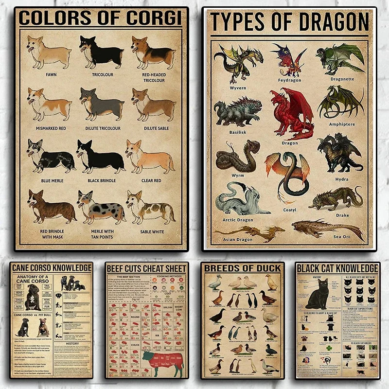 Ретро-плакат с знаниями животных стилистический пес кошка тип дракона цвет C0rgis