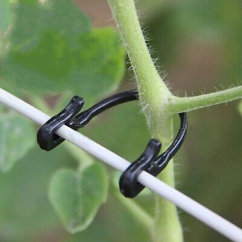 50PCS Garden Plants Vines Fixed Clips Tied Buckles Lashing Hook For Kiwi Grape Cucumber Tomato Stems Fastener Gadgets Grafting