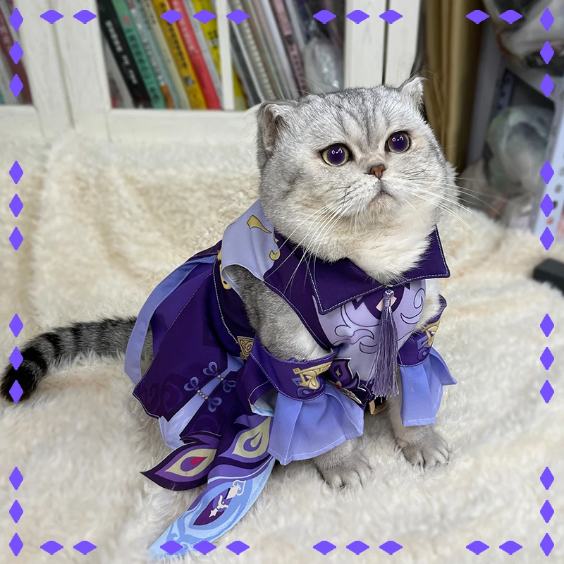 

Аниме Genshin ударная одежда для домашних животных COS Keqing одежда для домашних питомцев; Кошки loli костюм для собак для Хэллоуина пурпурное боди глаз Бога платье