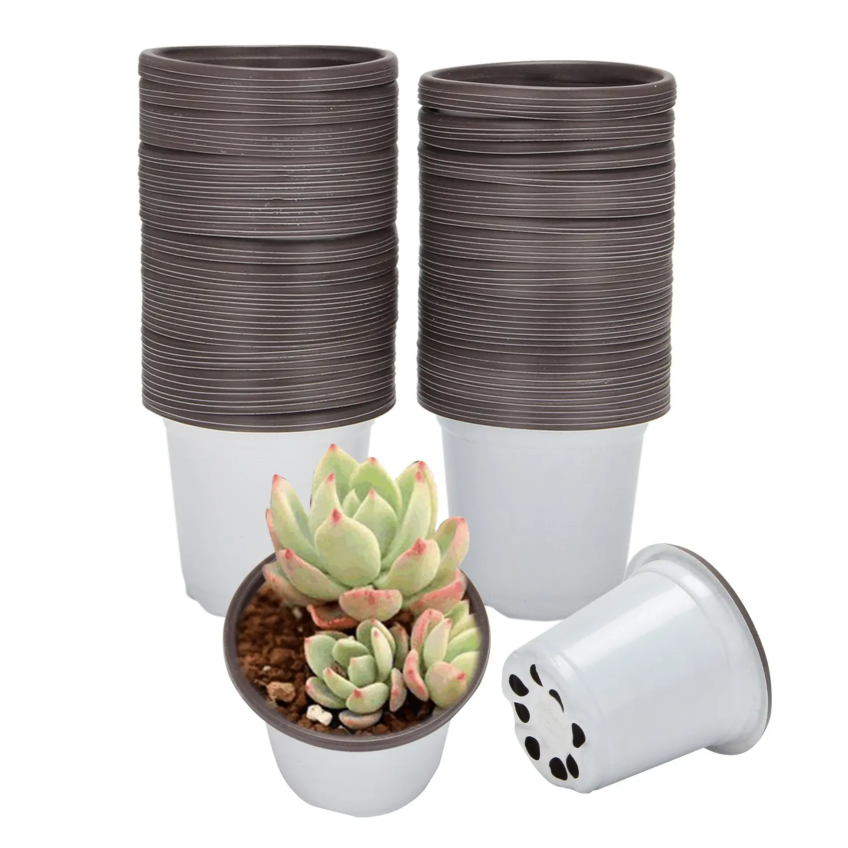 Plastic Plant Nursery Pots Flower Seedling Starter Pots for Little Garden Pots to Repot Succulents and Plants (100PCS)