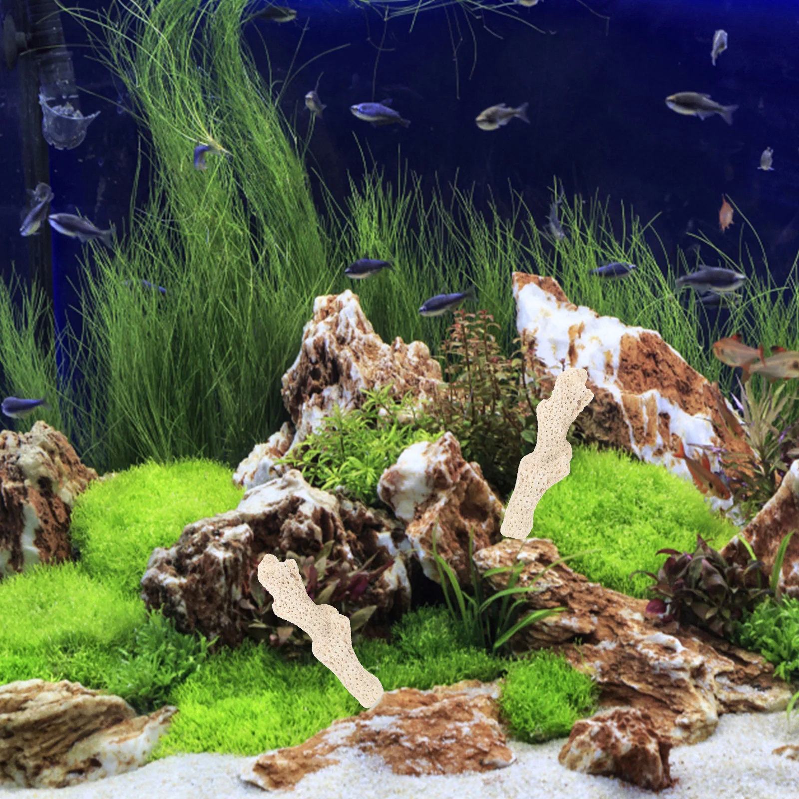 Коралловый фильтр для аквариума камень аксессуаров материал натуральная кость