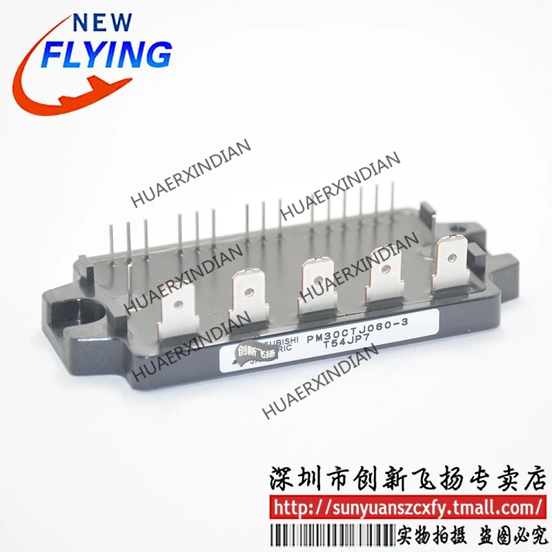 

Brand New Original PM30CTJ060-3