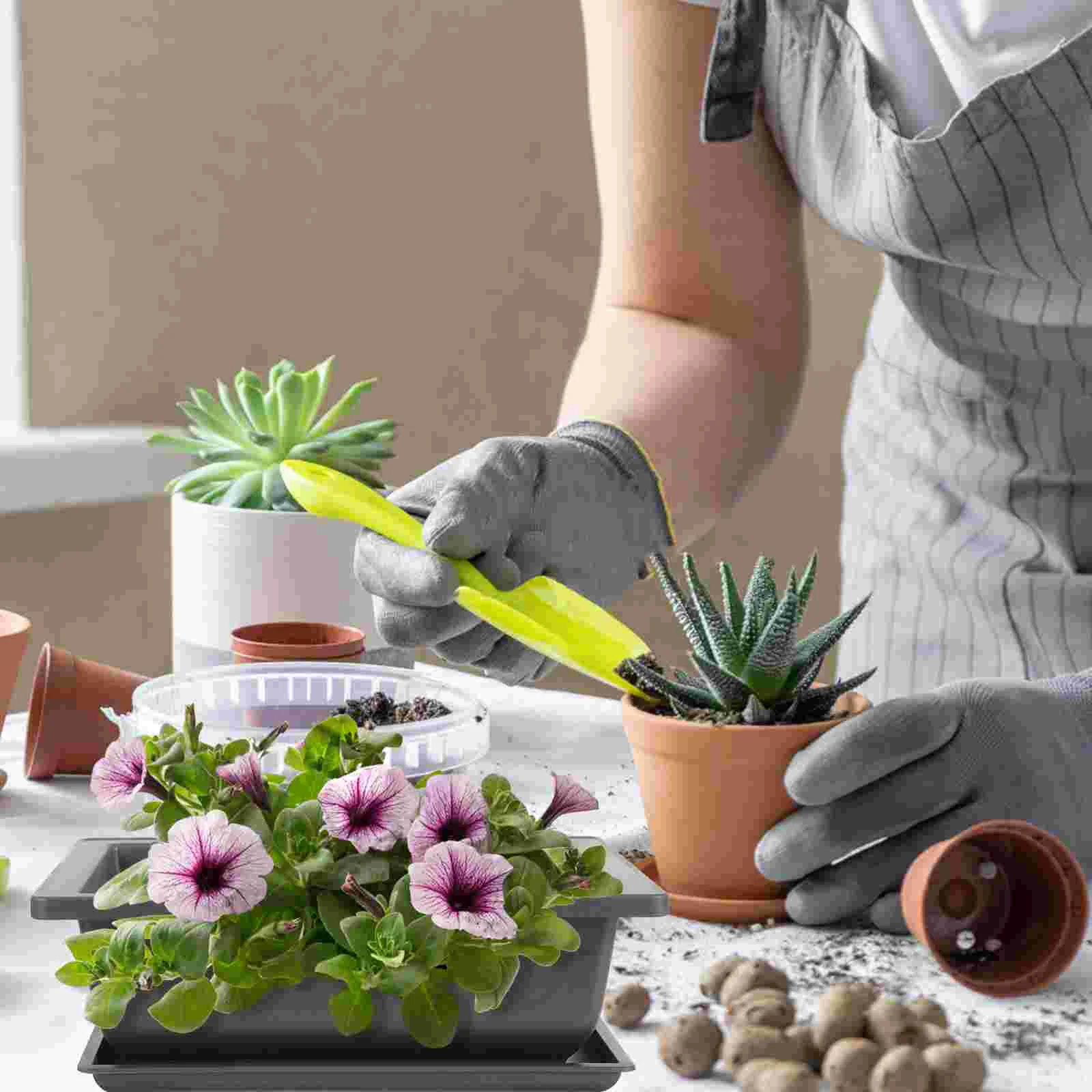 

2 Sets Garden Office Decorative Pot Plastic Succulent Pot